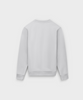SW 01 Marked Cement Grey 2.0