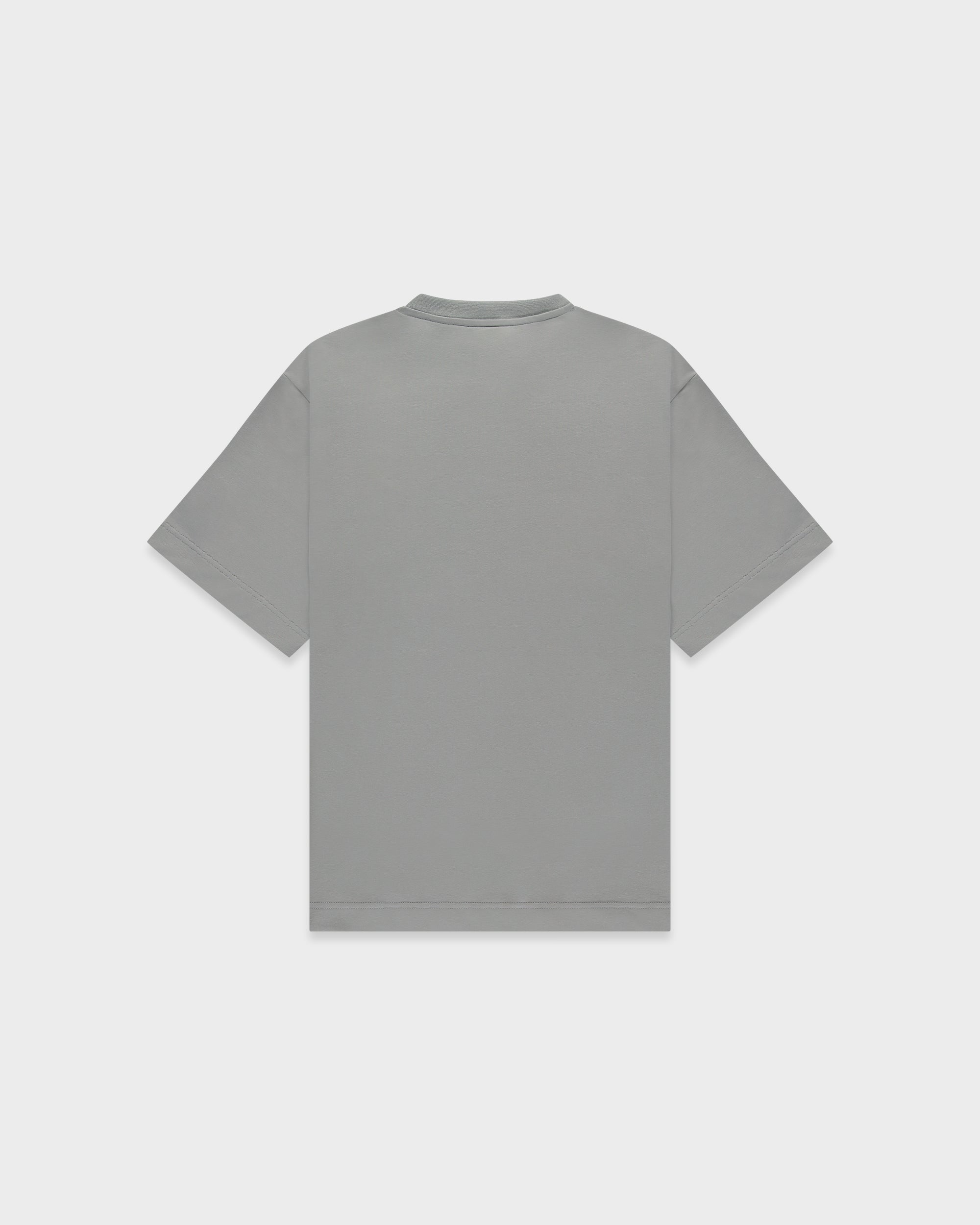 TS 01 Essence Oversized Ash Grey