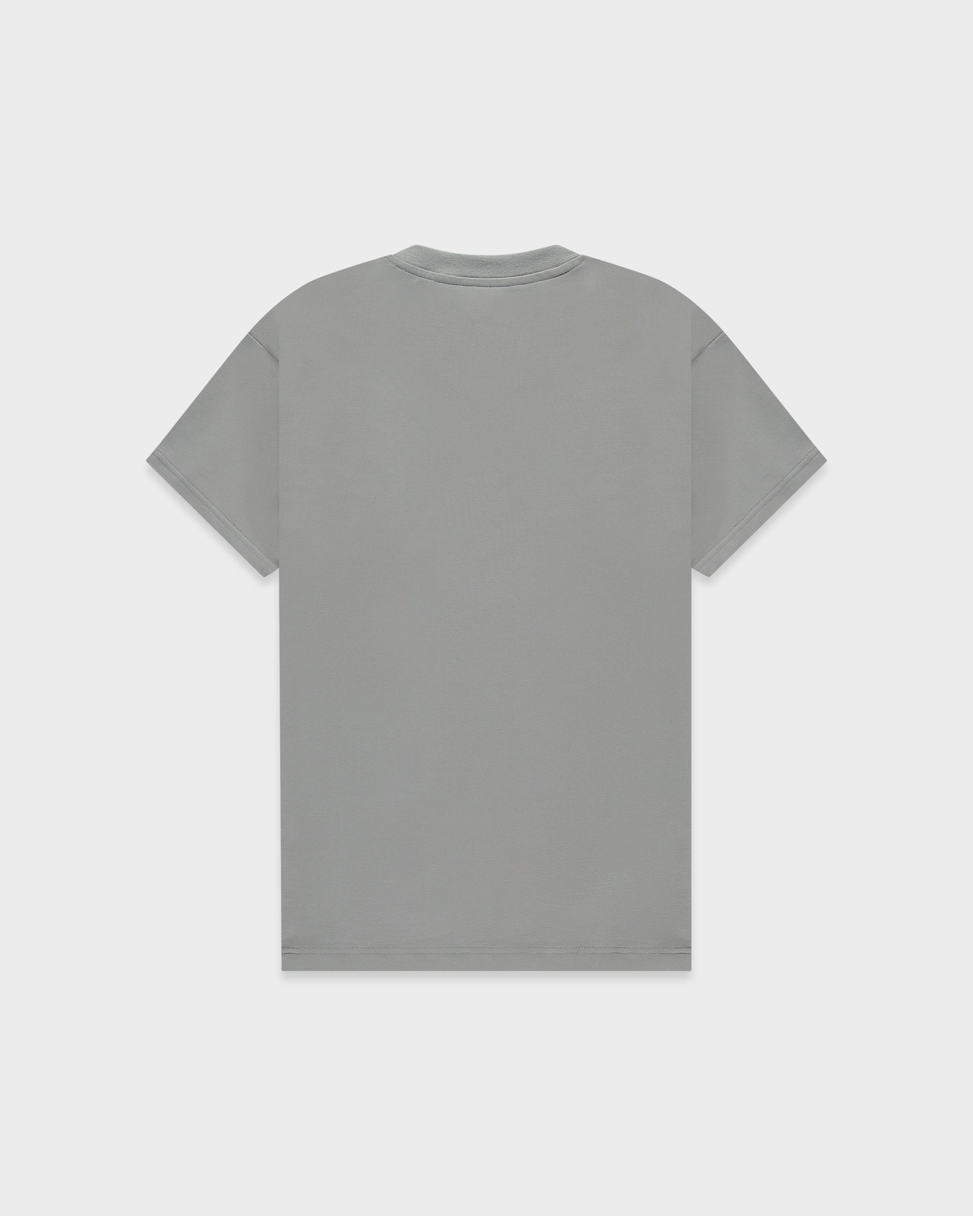 TS 01 Essence Regular Ash Grey