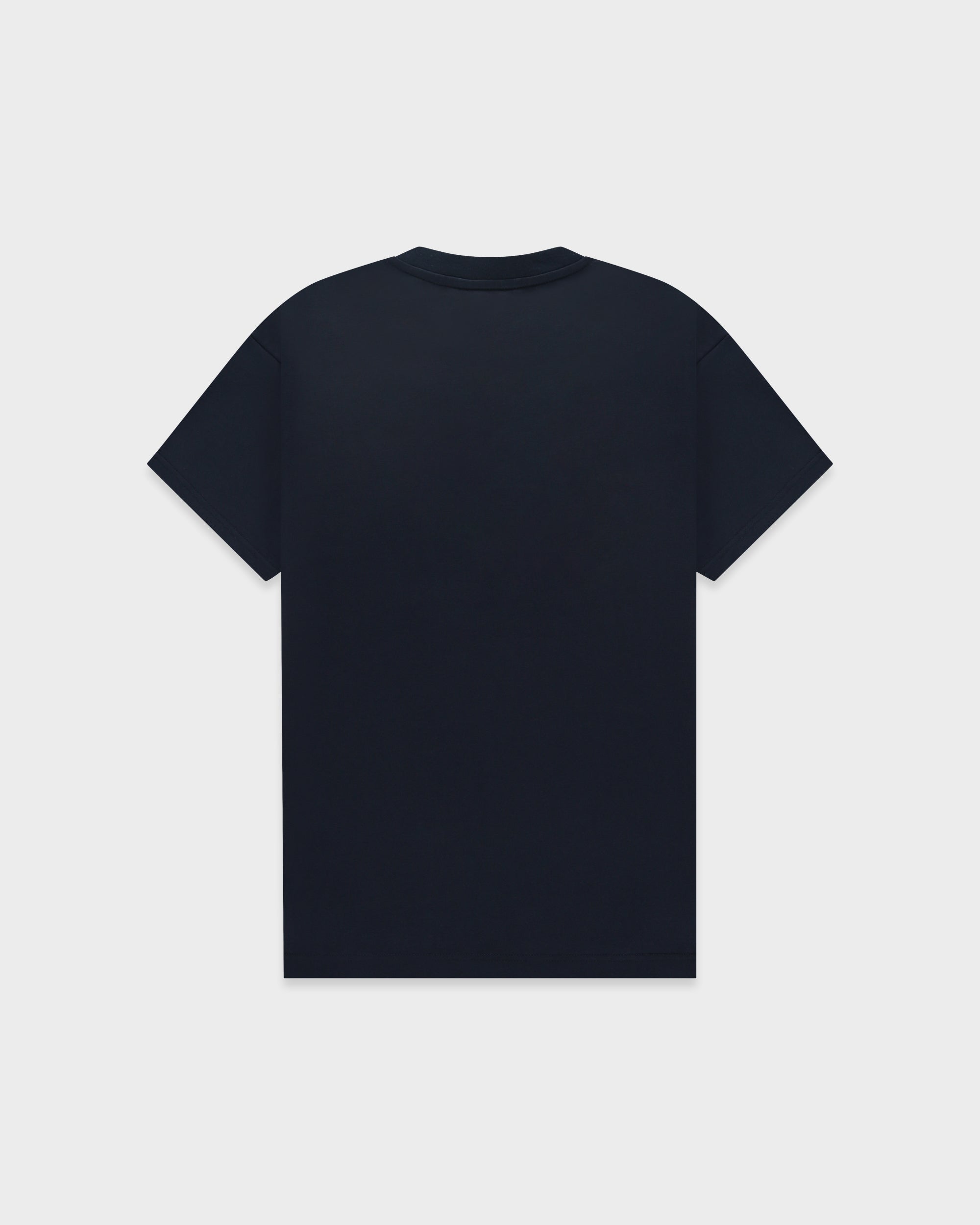TS 01 Essence Regular Blueberry