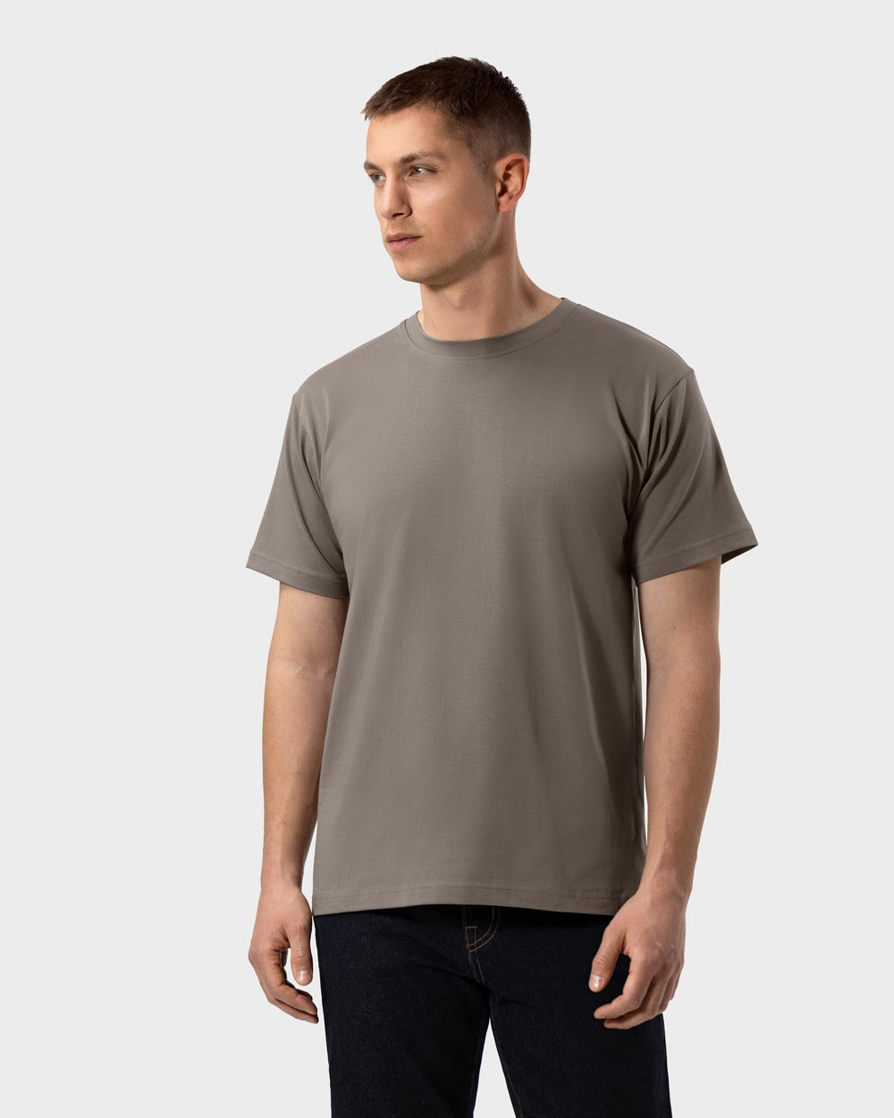 TS 01 Essence Regular Lightweight Desert Taupe 2.0 – t-shirt in taupe cotton jersey