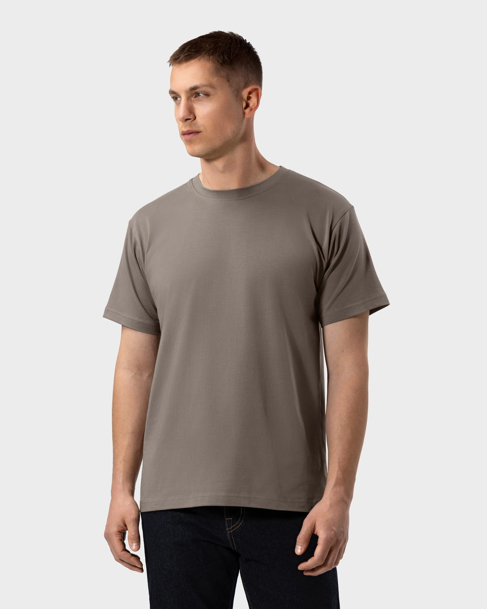 TS 01 Essence Regular Lightweight Desert Taupe 2.0 – t-shirt in taupe cotton jersey
