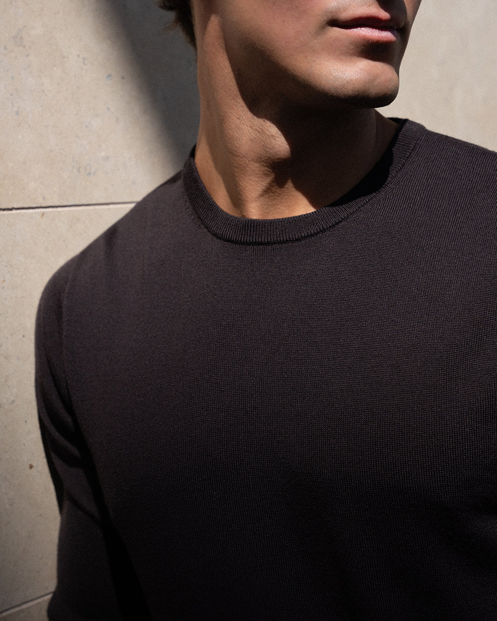 SW 04 Tailored Crewneck Dark Fig