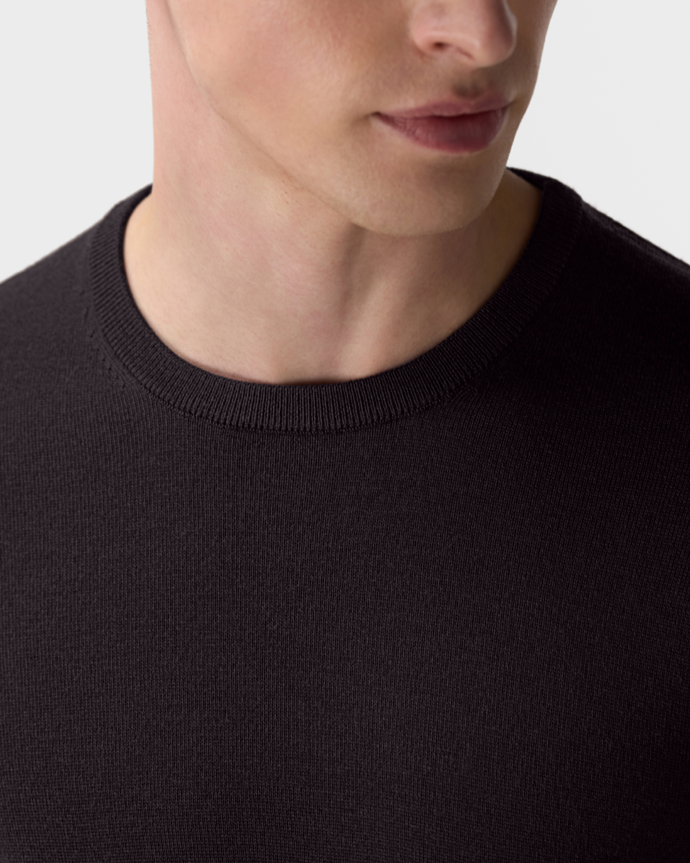SW 04 Tailored Crewneck Dark Fig