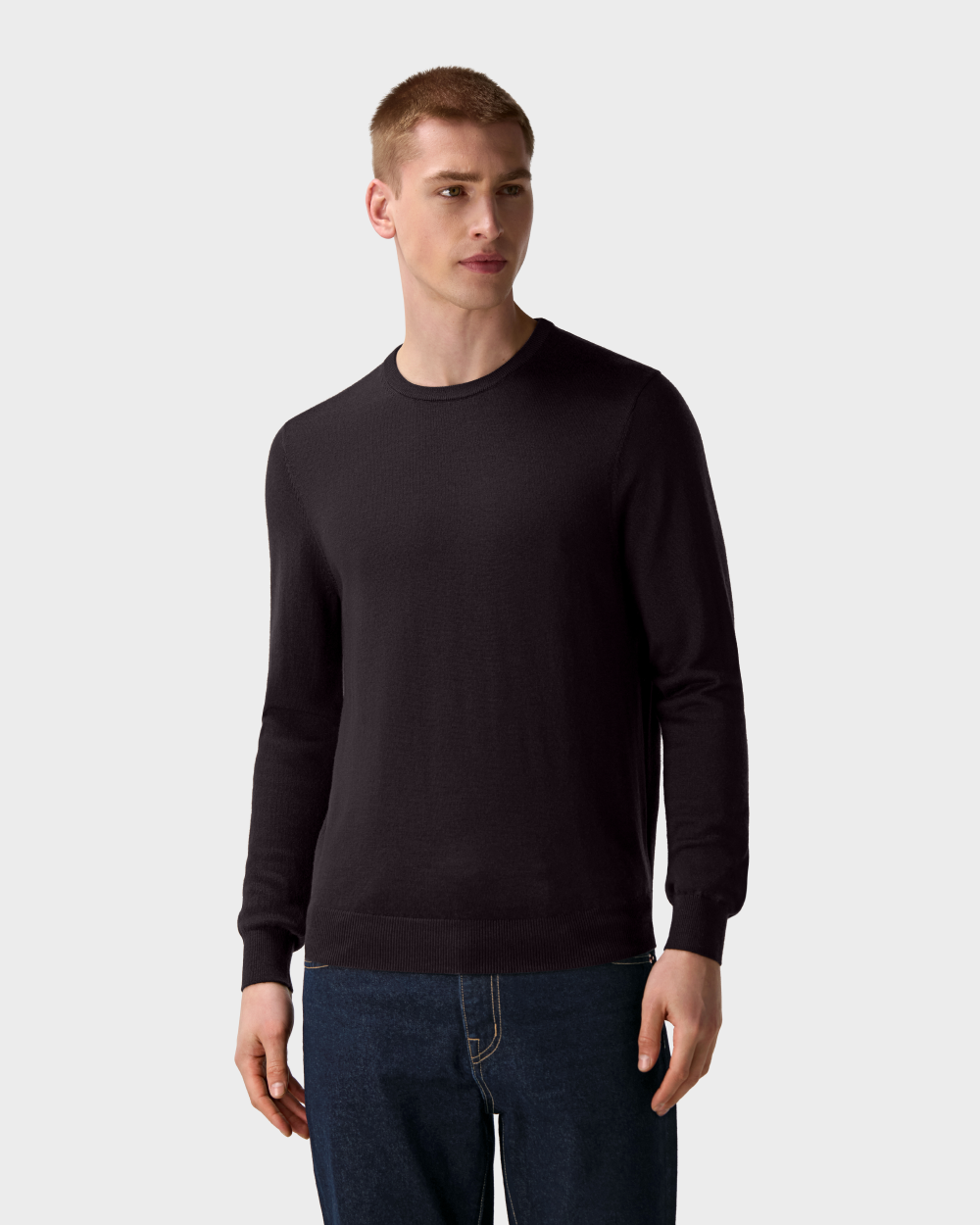 SW 04 Tailored Crewneck Dark Fig