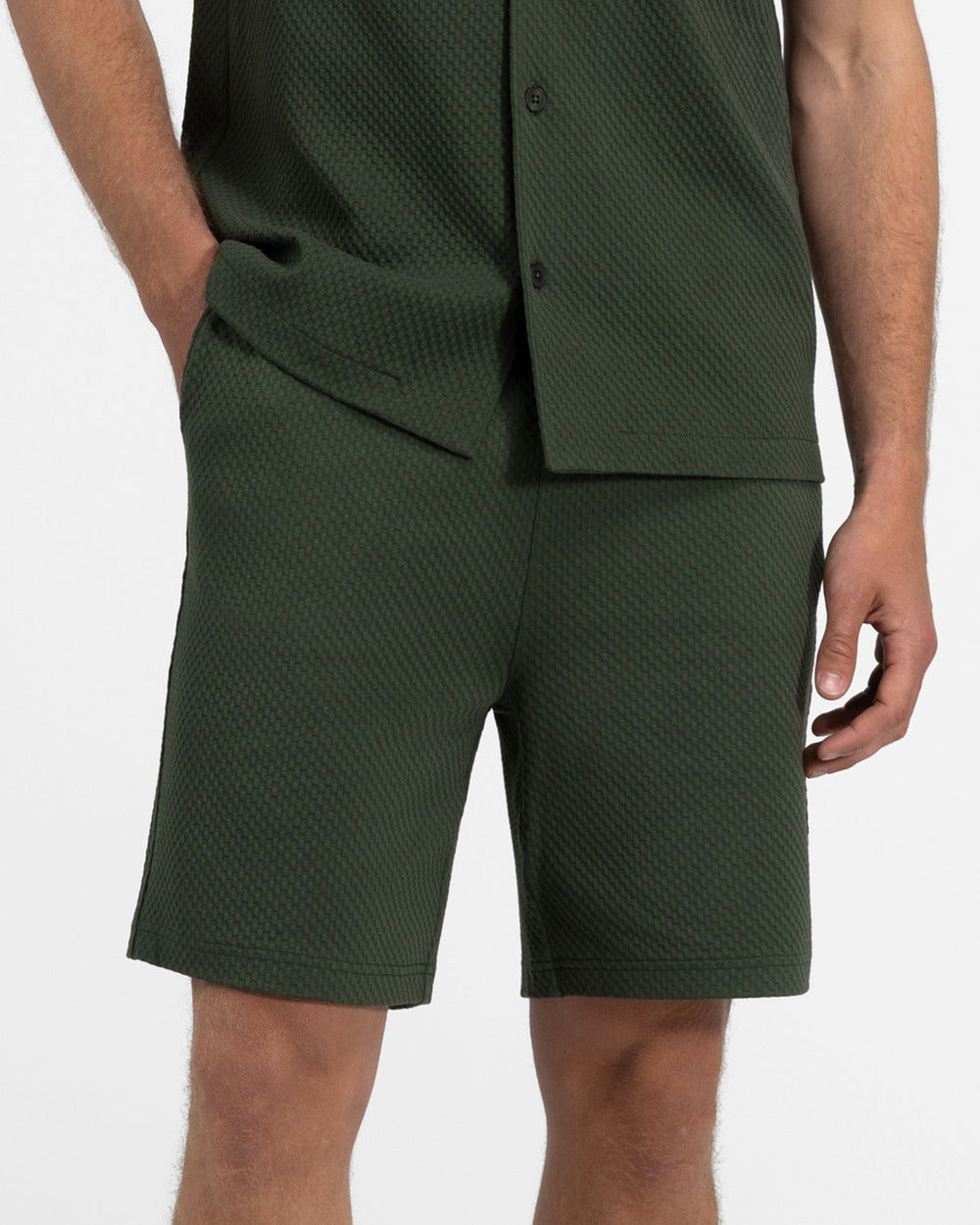 ST 02 Jacquard Forest Green – shorts in green cotton jacquard, photo 12