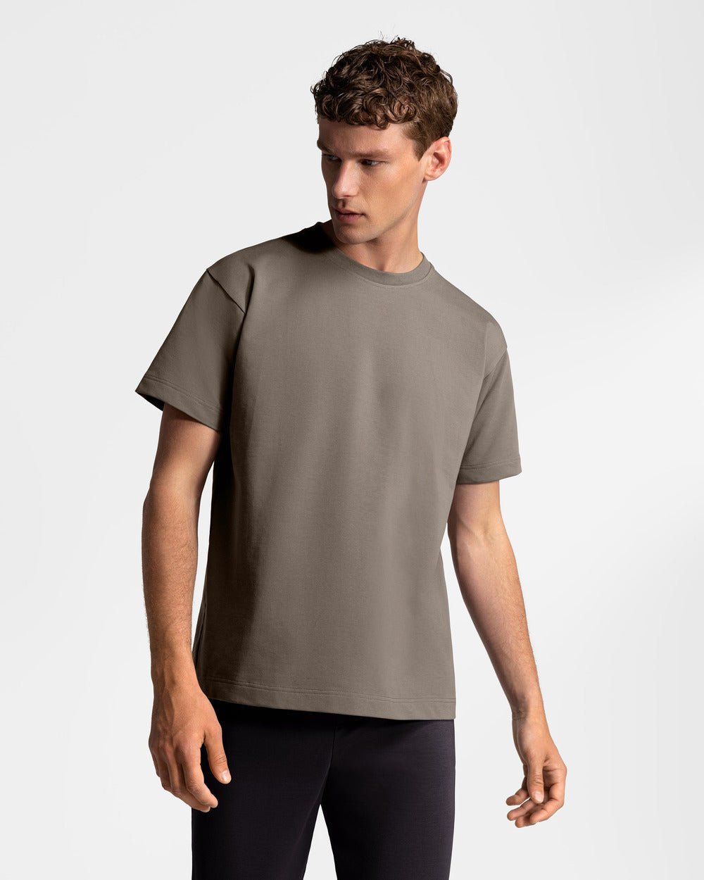 TS 01 Essence Regular Heavyweight Desert Taupe 2.0 – t-shirt in taupe stretch cotton, photo 3