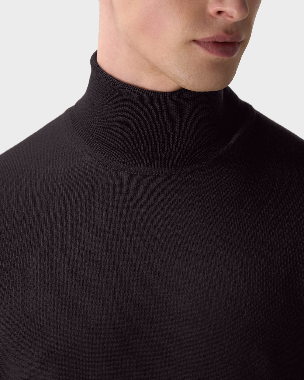 SW 06 Tailored Turtleneck Dark Fig