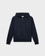 ZH 01 Marked Blueberry